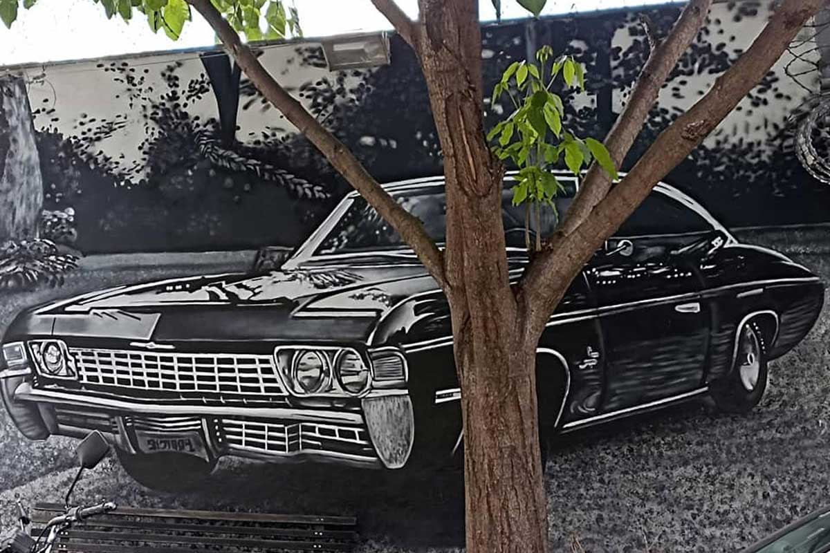 A foto mostra o tronco de uma árvore e atrás dela um carro antigo, preto, com os faróis redondos, estacionado em um gramado. Ao fundo é possível ver um muro com desenhos. A é preto e branco e tem detalhes coloridos como o tronco e folhas da árvore