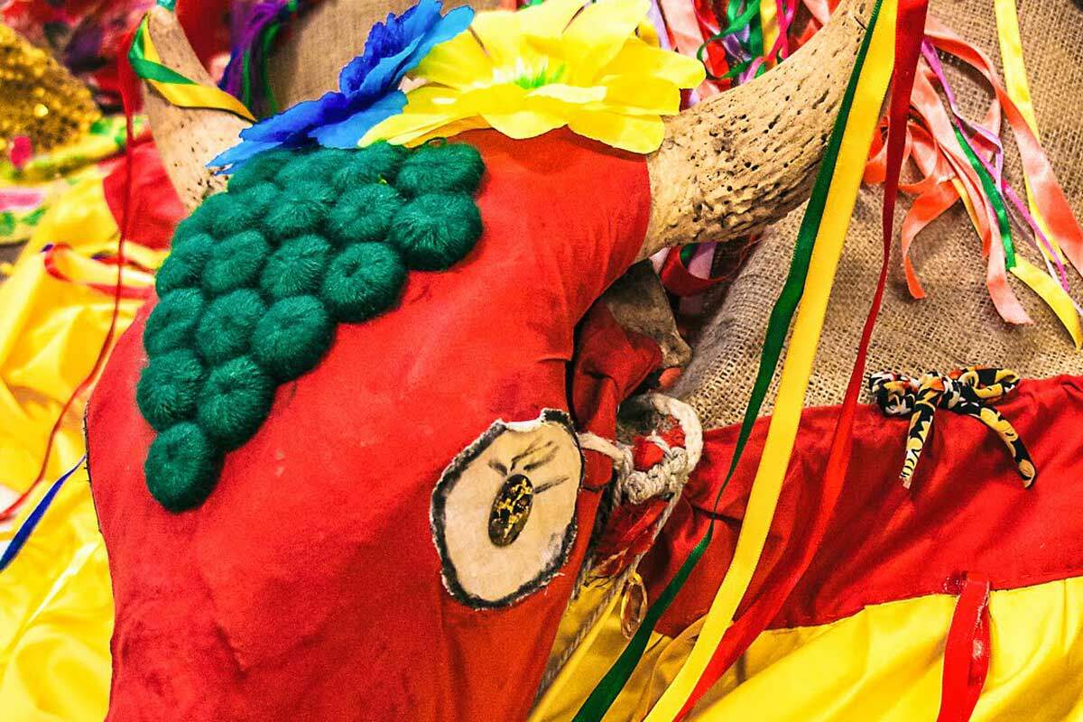 A foto mostra um boneco em forma de boi, com destaque para sua cabeça vermelha. Nela aparecem chifres, olho feito de tecido e detalhes verdes feitos de linha. O boi tem um manto amarelo e vermelho e fitas de centim coloridas.