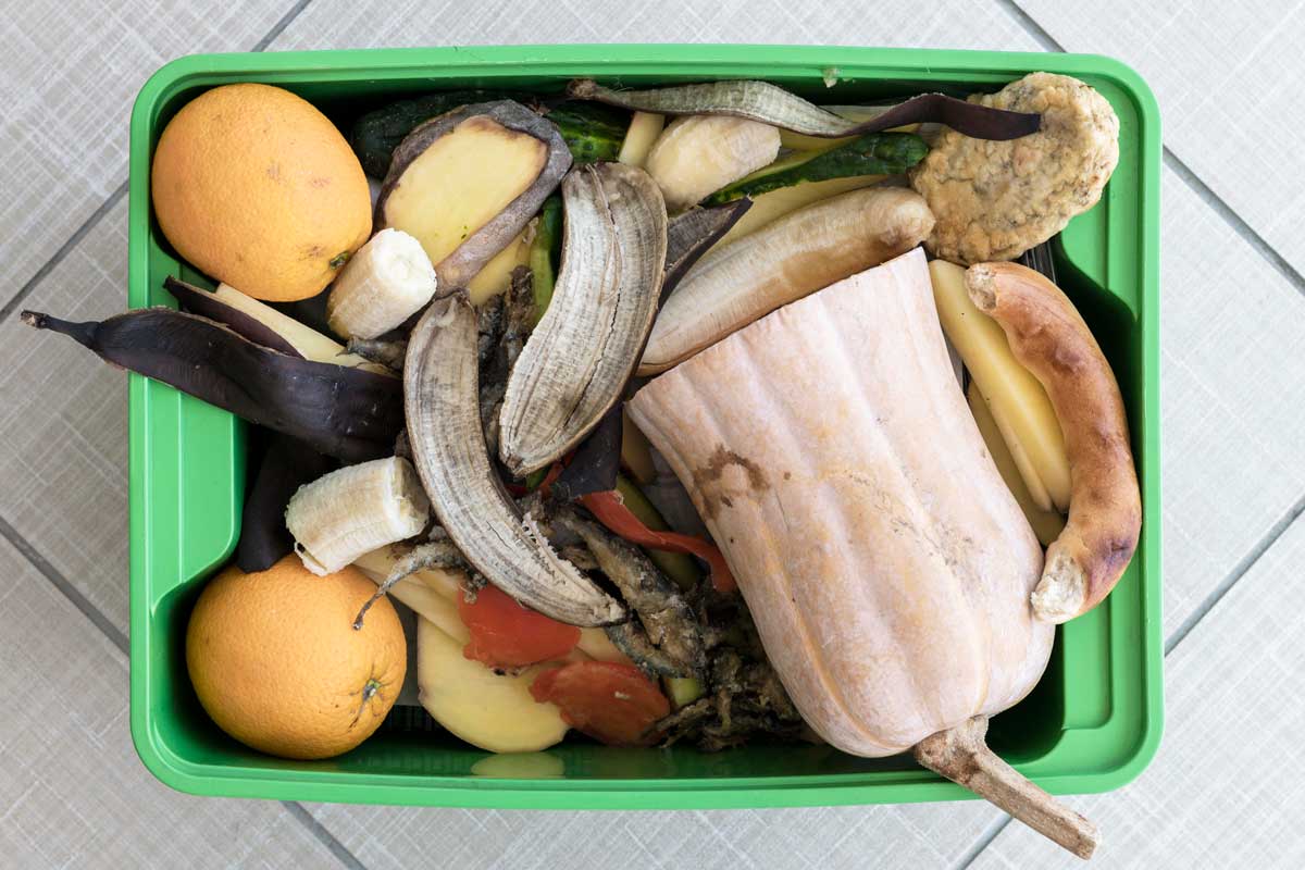 A foto mostra uma caixa de plástico verde, sob um chão de piso branco, com diversos legumes, frutas e cascas destes alimentos. Aparecem laranjas, abóbora, maçã, bananas e tomate. 