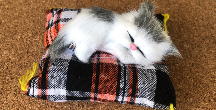 Foto de um gatinho de pelúcia. 